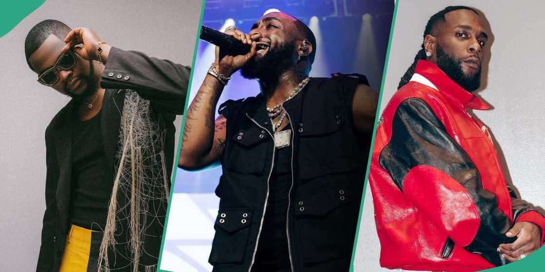 Davido wins Best Male Nigerian Artiste of 2023