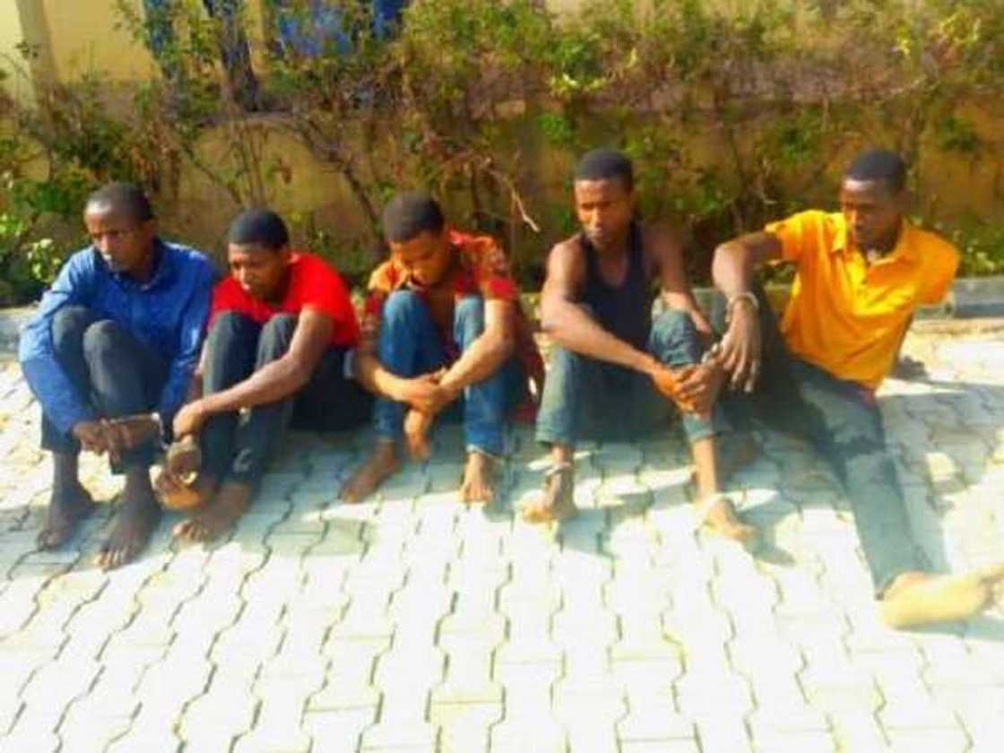 Neman abinci ya sanya na shiga ta'addancin garkuwa da satar shanu - 'Dan ta'adda Neman abinci ya sanya na shiga ta'addancin garkuwa da satar shanu - 'Dan ta'adda