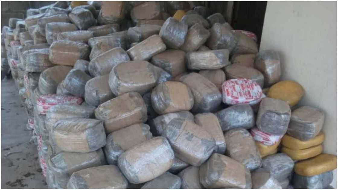 NDLEA ta bankado gidan ajiyar tabar wiwi, ta kama mota makare da kwayoyi a Benue NDLEA ta bankado gidan ajiyar tabar wiwi, ta kama mota makare da kwayoyi a Benue