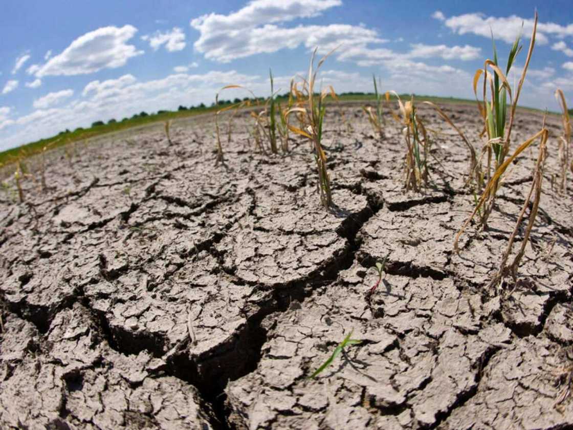 Dry season Dry season