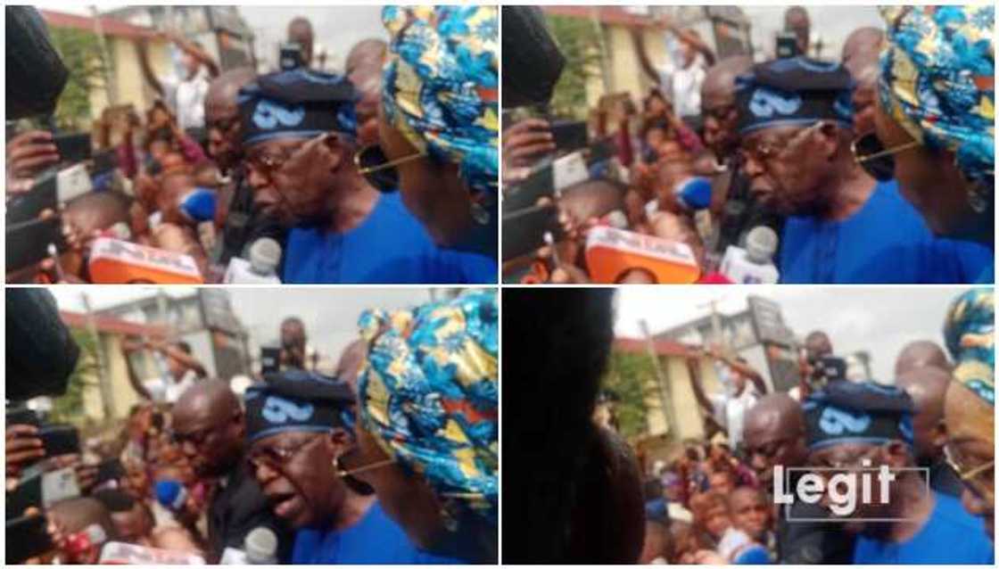 Tinubu, Remi Tinubu, Remi