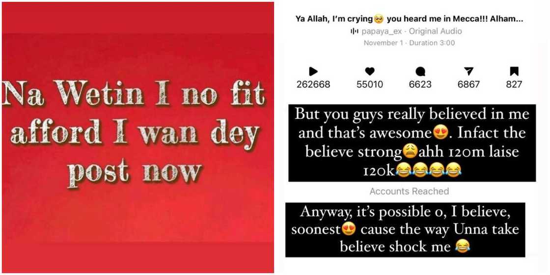 Fake mansion drama: Papaya Ex reacts Fake mansion drama: Papaya Ex reacts