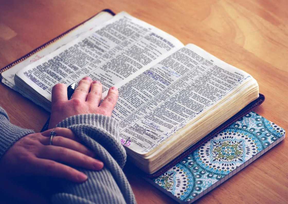What does the Bible say about divorce? What does the Bible say about divorce?