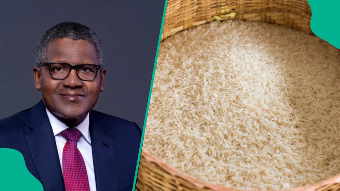 Dangote opens up on distributing bags of rice Dangote opens up on distributing bags of rice