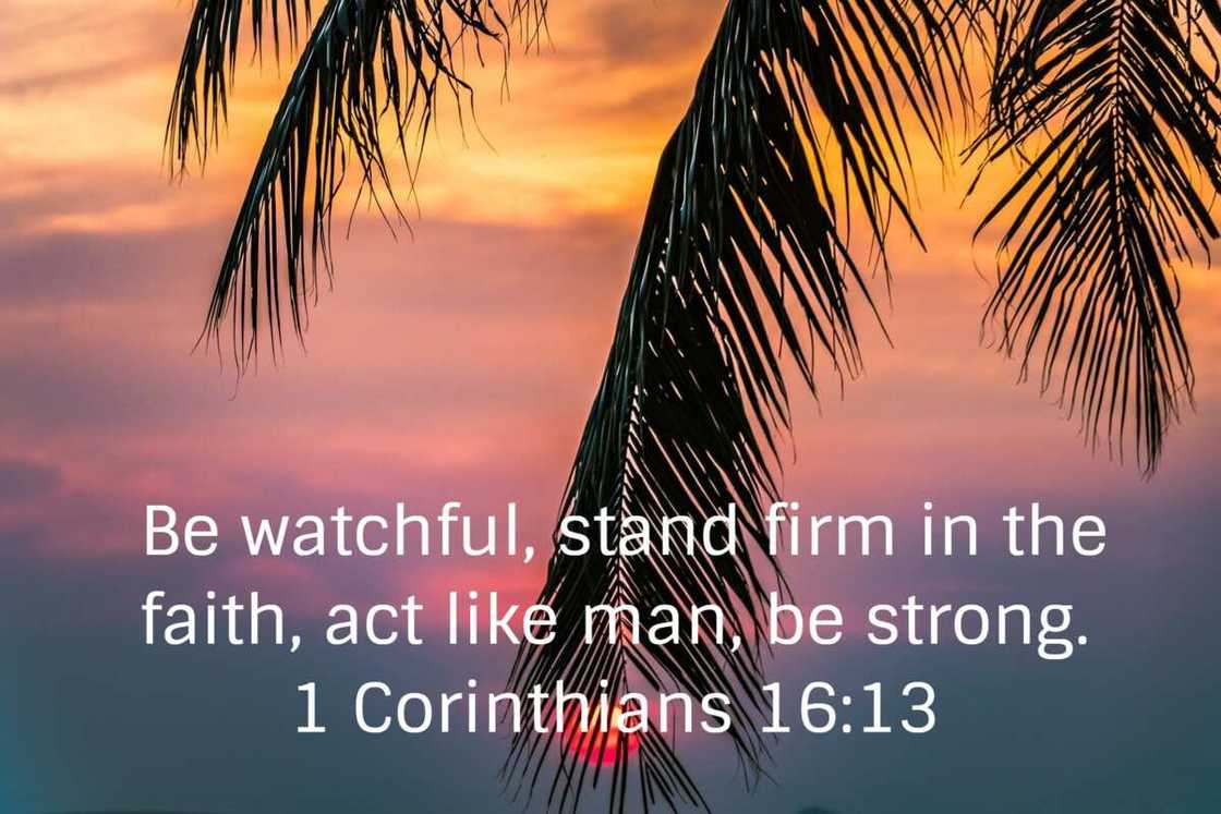 Motivational scriptures Motivational scriptures