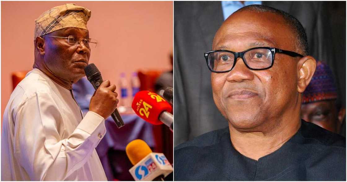 2023 election, Atiku Abubakar, Peter Obi, PDP, Labour Party, southeast, Igbo presidency