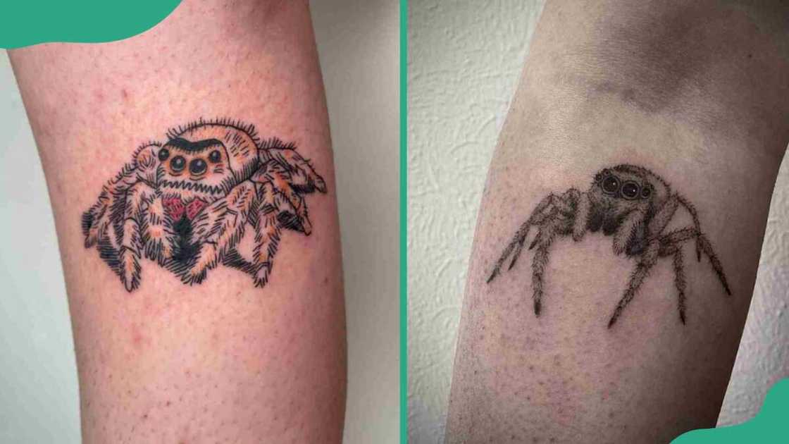 Jumping spider tattoos Jumping spider tattoos
