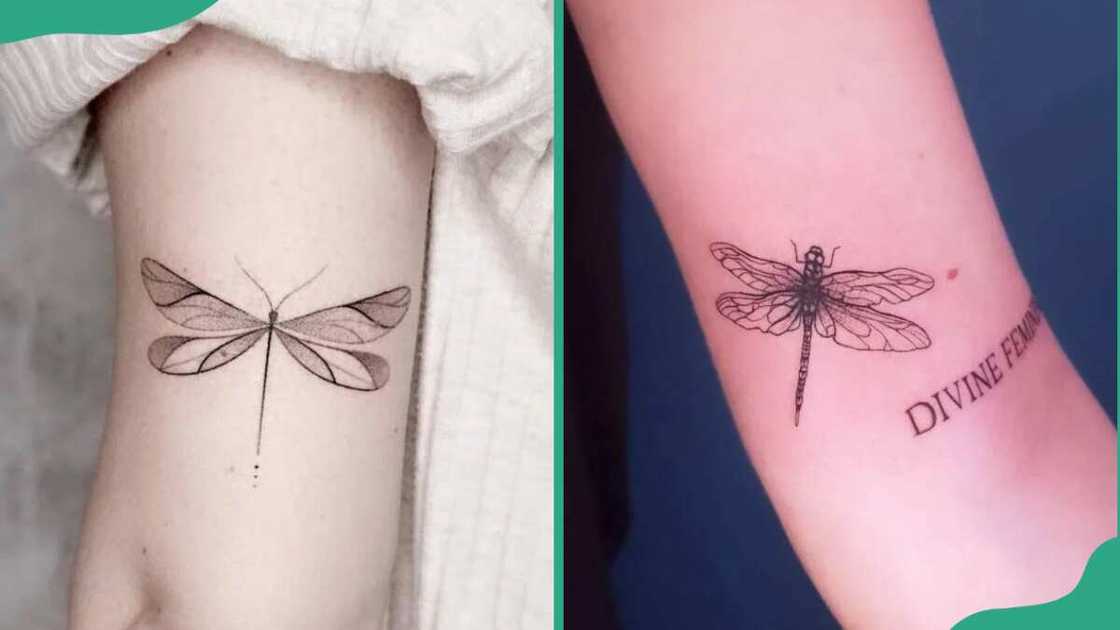 Simple dragonfly tattoo Simple dragonfly tattoo