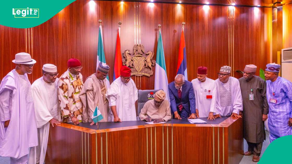 Dumebi Ifeanyichukwu Backs Tinubu's Electoral Act Reform Amid Growing Public Support