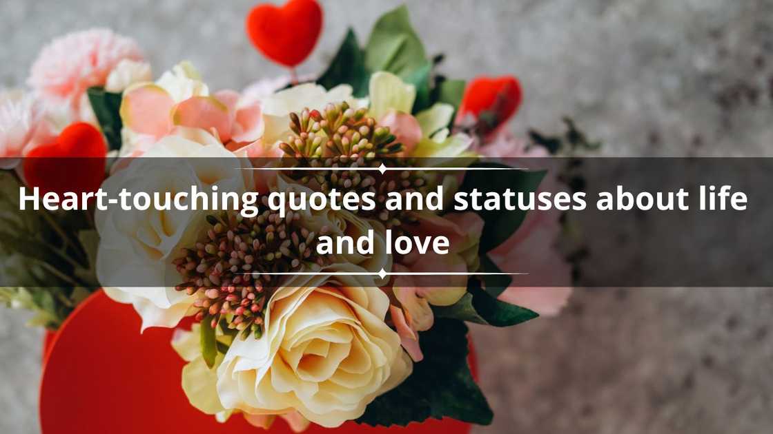 Heart touching quotes and statuses about life and love