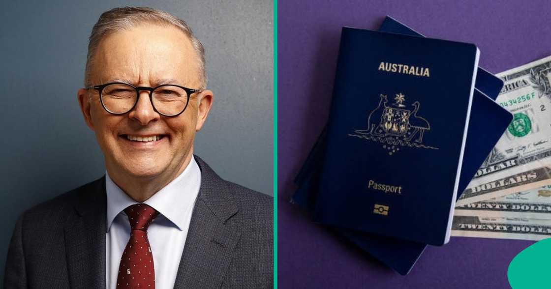 Australia lists seven sectors for priority processing.