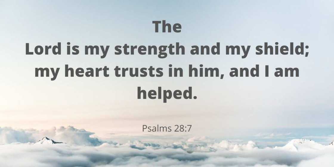 Warrior quotes from the Bible Warrior quotes from the Bible