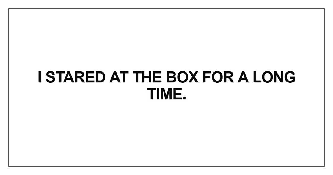 I stared at the box for a long time
