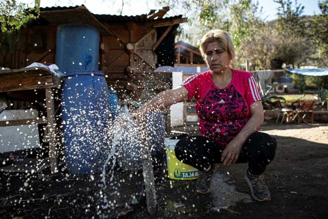 The new constitution would recognize a novel right of nature and animals and protect as a human right water resources The new constitution would recognize a novel right of nature and animals and protect as a human right water resources