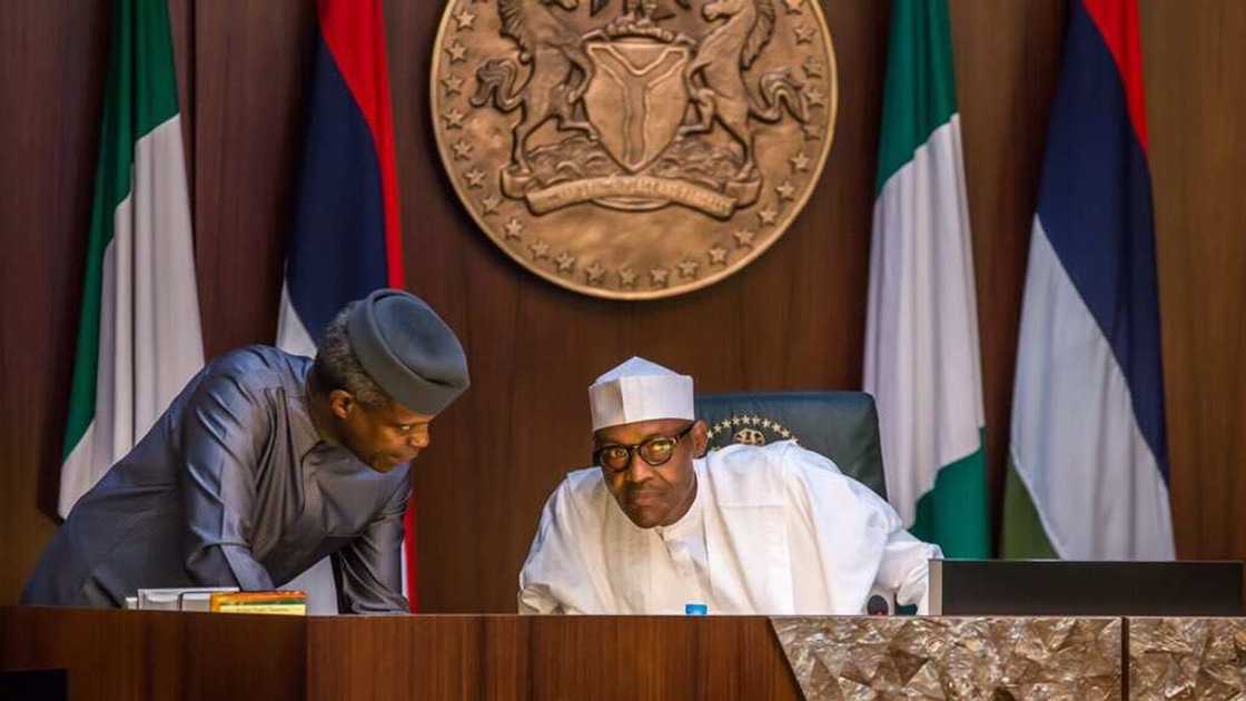 Buhari and Osinbajo have been earning half salaries - Femi Adesina