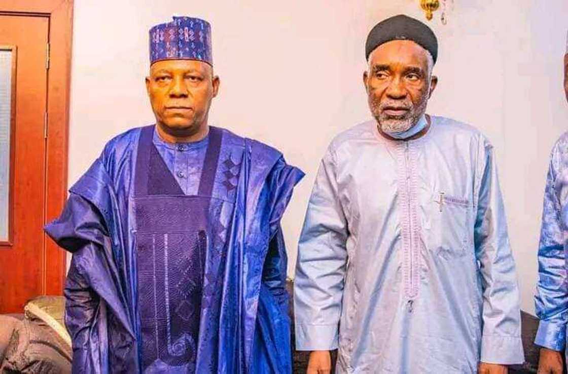 Borno APC, Kashim Shettima, 2023 election