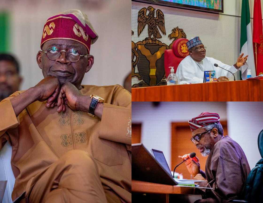 Bola Tinubu/Femi Gbajabiamila/Ahmed Lawan/Senate/10th Assembly/House of Reps Bola Tinubu/Femi Gbajabiamila/Ahmed Lawan/Senate/10th Assembly/House of Reps