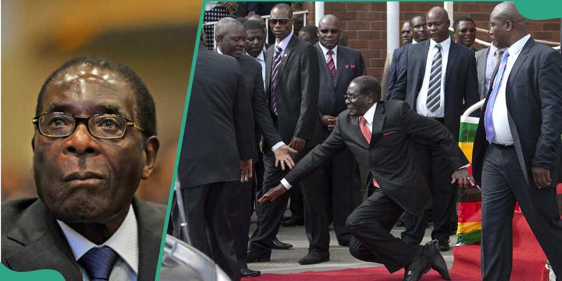 Zimbabwean President Robert Mugabe's epic fall Zimbabwean President Robert Mugabe's epic fall