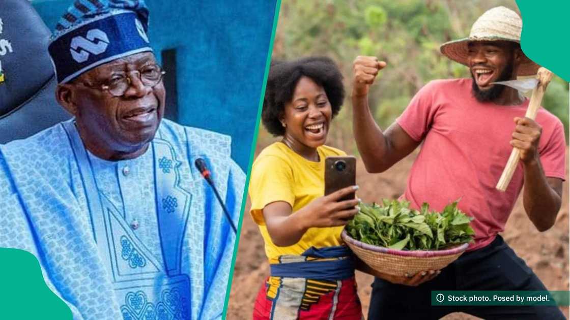 2025 Green Money Project opens for Nigerian youths in agriculture
