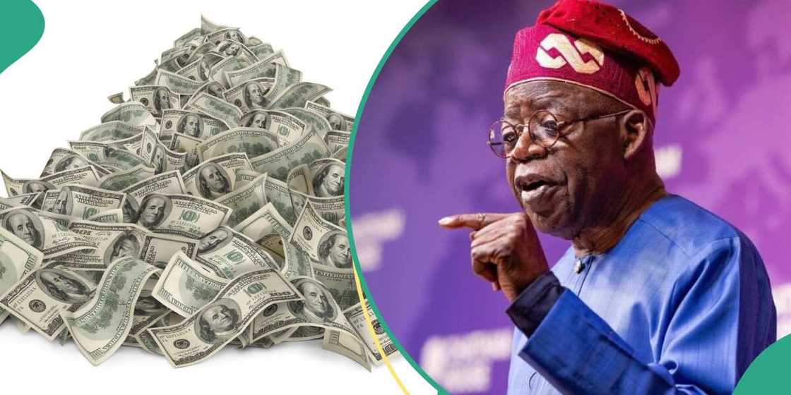 FG resorts to more borrowing as debt servicing surges past revenue FG resorts to more borrowing as debt servicing surges past revenue