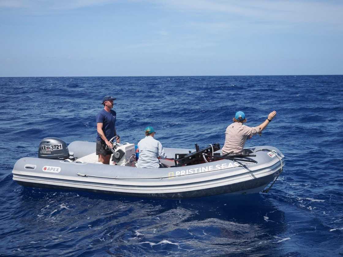 Baited remote underwater video systems (BRUVS) Baited remote underwater video systems (BRUVS)