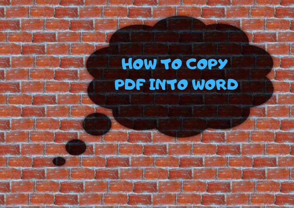 copy PDF page to Word