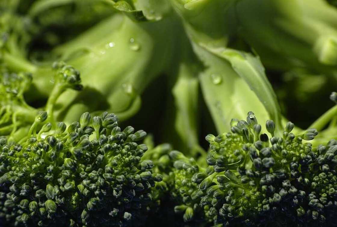 how to know when broccoli is bad how to know when broccoli is bad