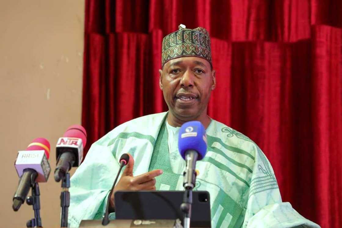 Governor Babagana Zulum