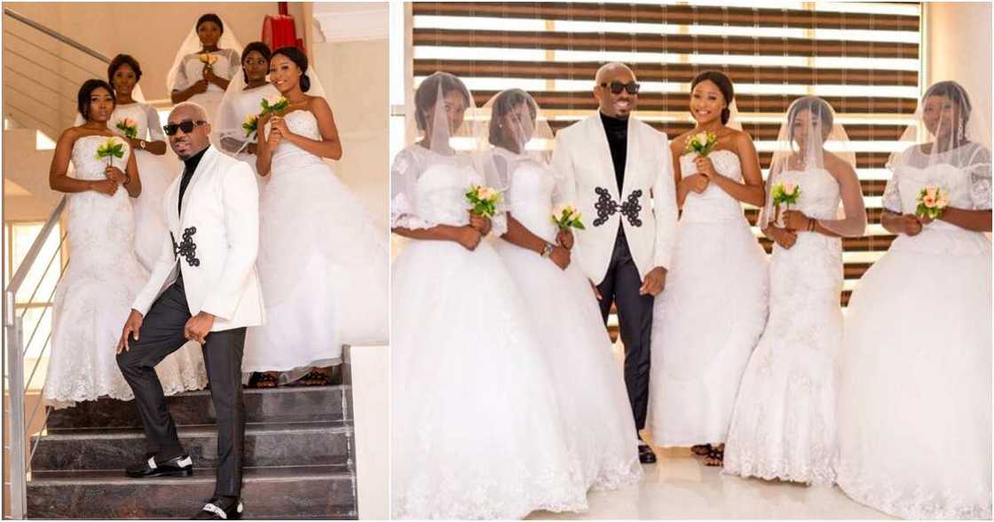 Pretty Mike Pretty Mike