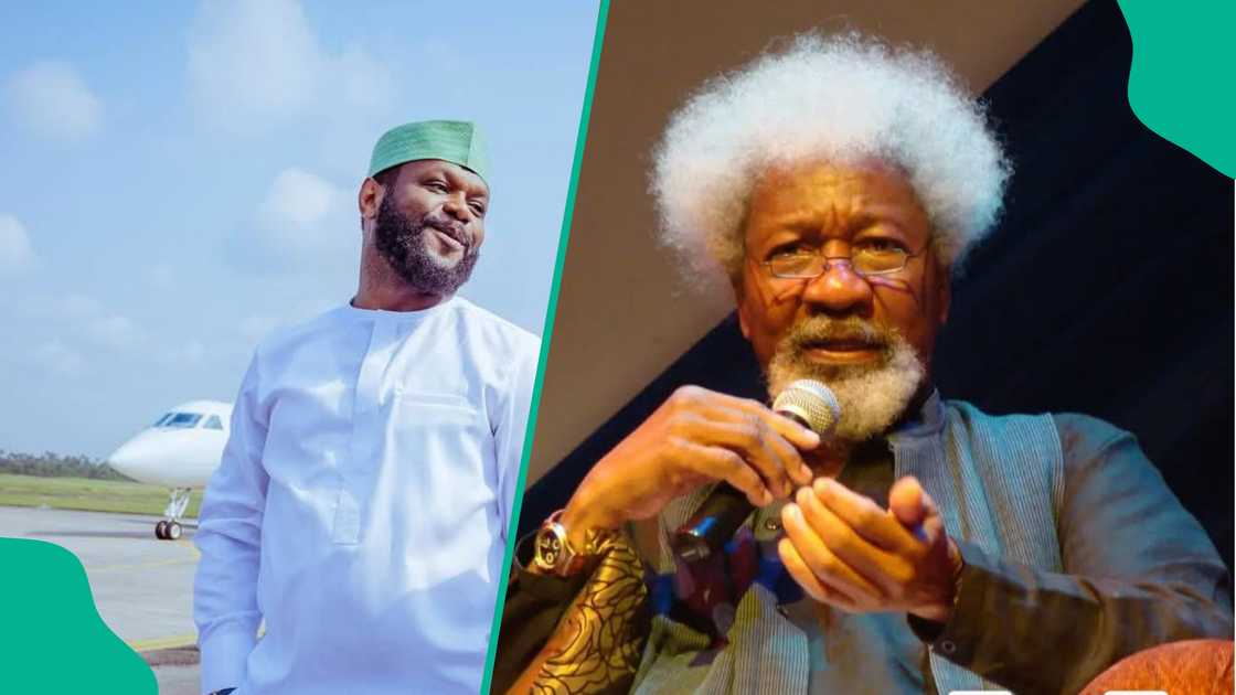 Wole Soyinka hits at President Bola Tinubu over Seyi Tinubu's security details Wole Soyinka hits at President Bola Tinubu over Seyi Tinubu's security details