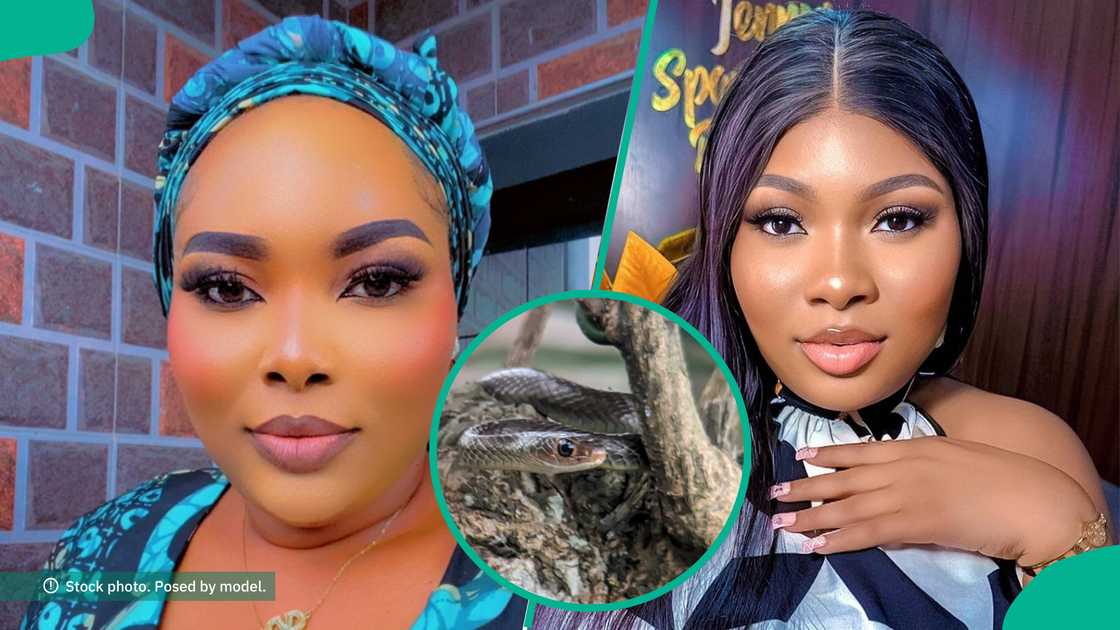 Video as lady survives potential snake attack in her compound, Nigerians react Video as lady survives potential snake attack in her compound, Nigerians react