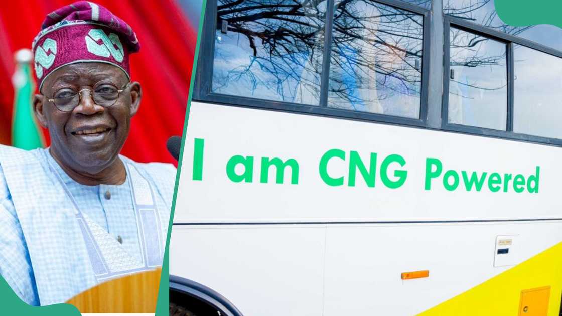 Transport Fare Finally Set to Crash Transport Fare Finally Set to Crash