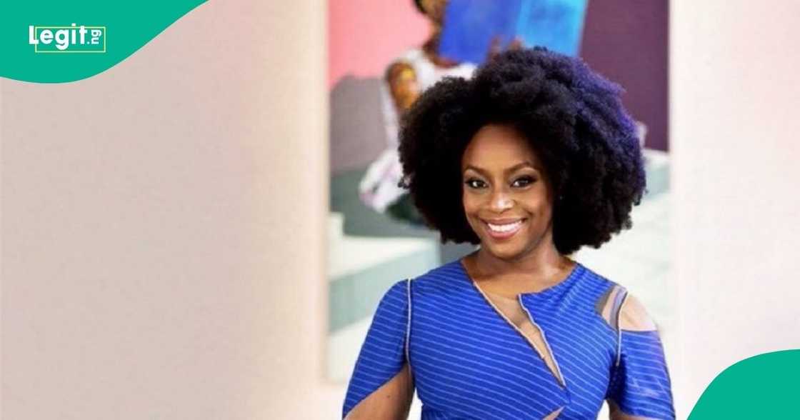 Chimamanda Adichie has shared her thoughts on her fertility struggles. Chimamanda Adichie has shared her thoughts on her fertility struggles.