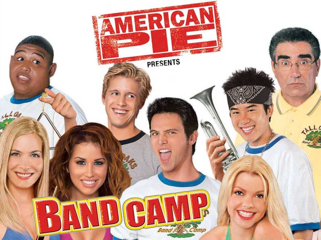 american pie series american pie series