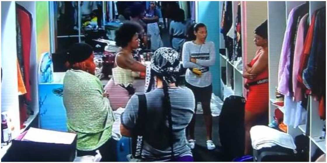 BBNaija's female housemates' fight BBNaija's female housemates' fight