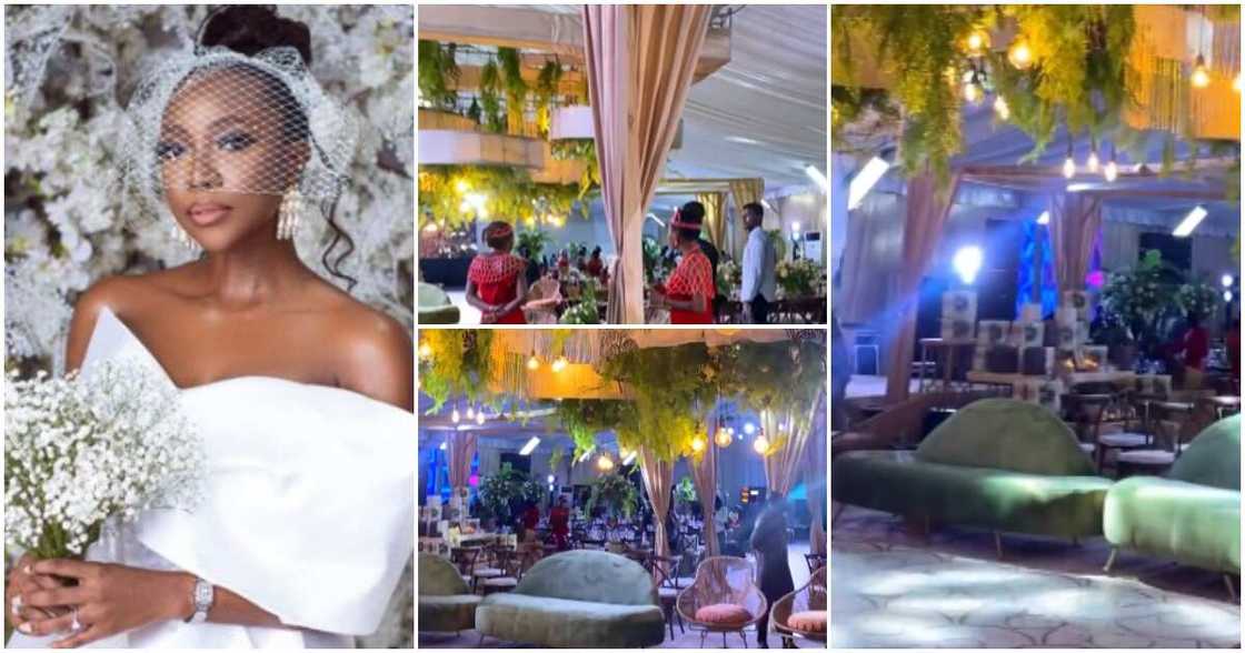 Ini Dima Okojie's traditional wedding