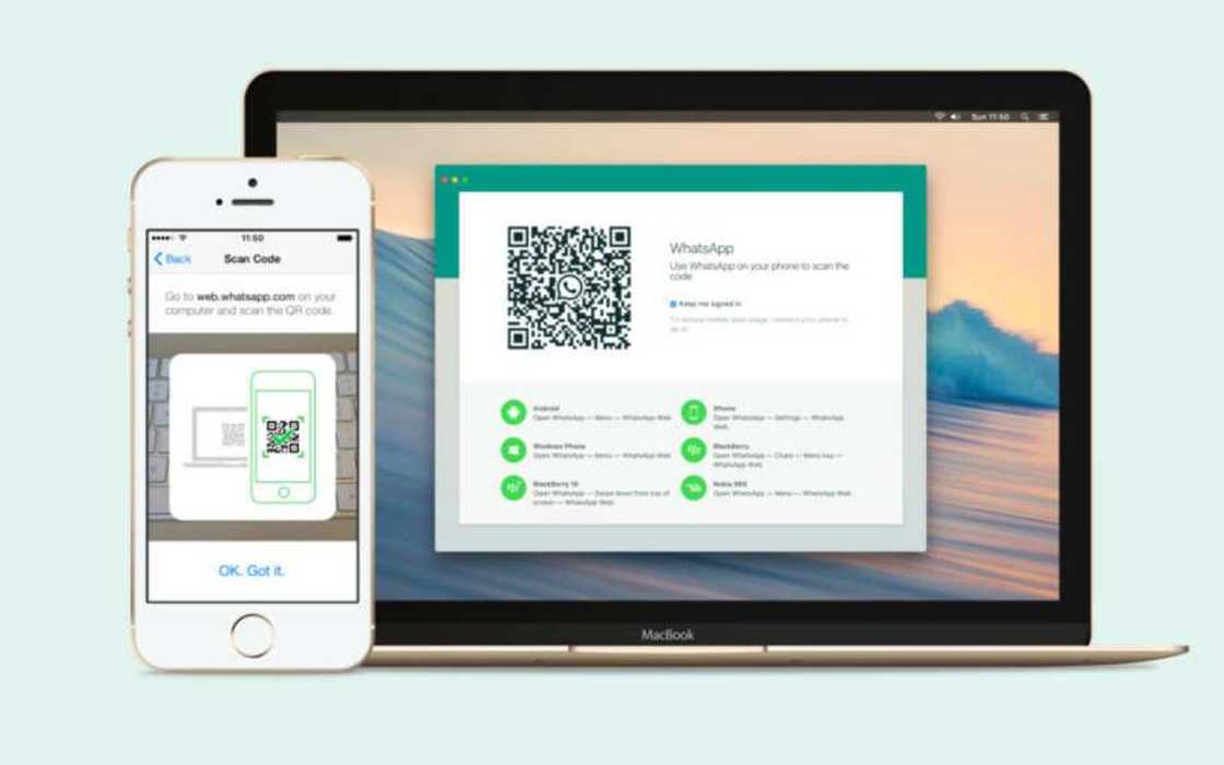 WhatsApp on PC WhatsApp on PC