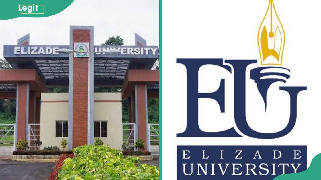 Entrance to Elizade University (L). Elizabeth University logo (R)