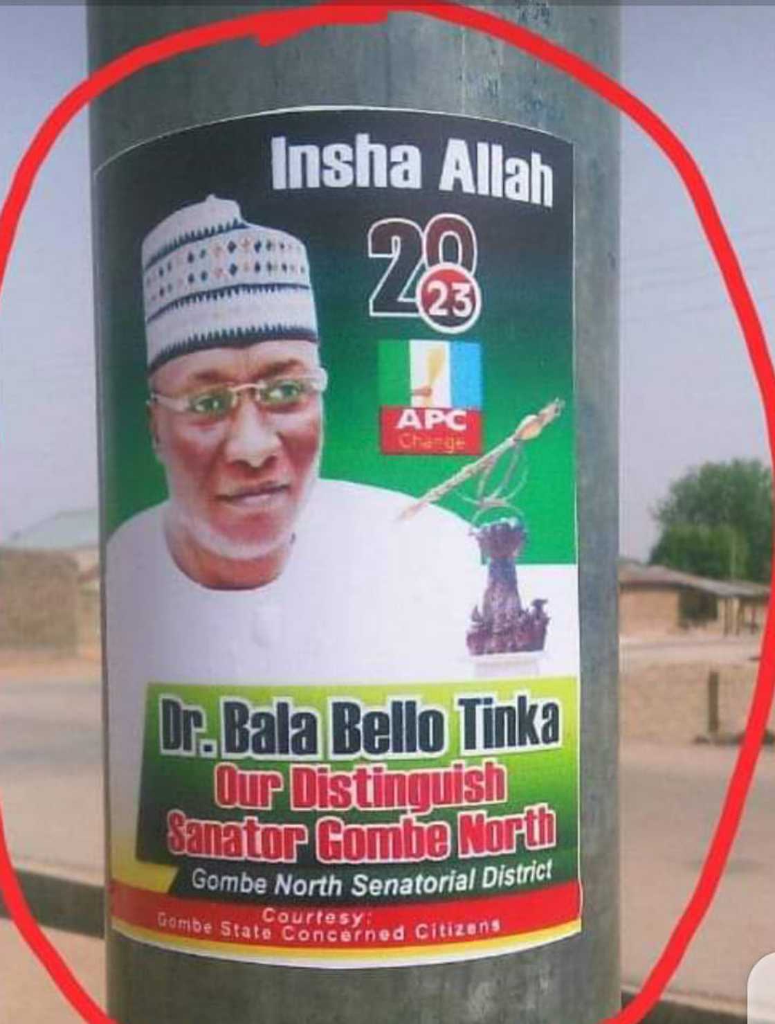 Bala Bello Tinka