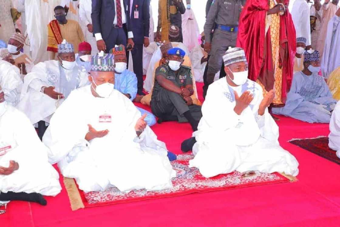 A kowane bangare, Gwamna Zulum ya fi ni inji Sanata Kashim Shettima A kowane bangare, Gwamna Zulum ya fi ni inji Sanata Kashim Shettima