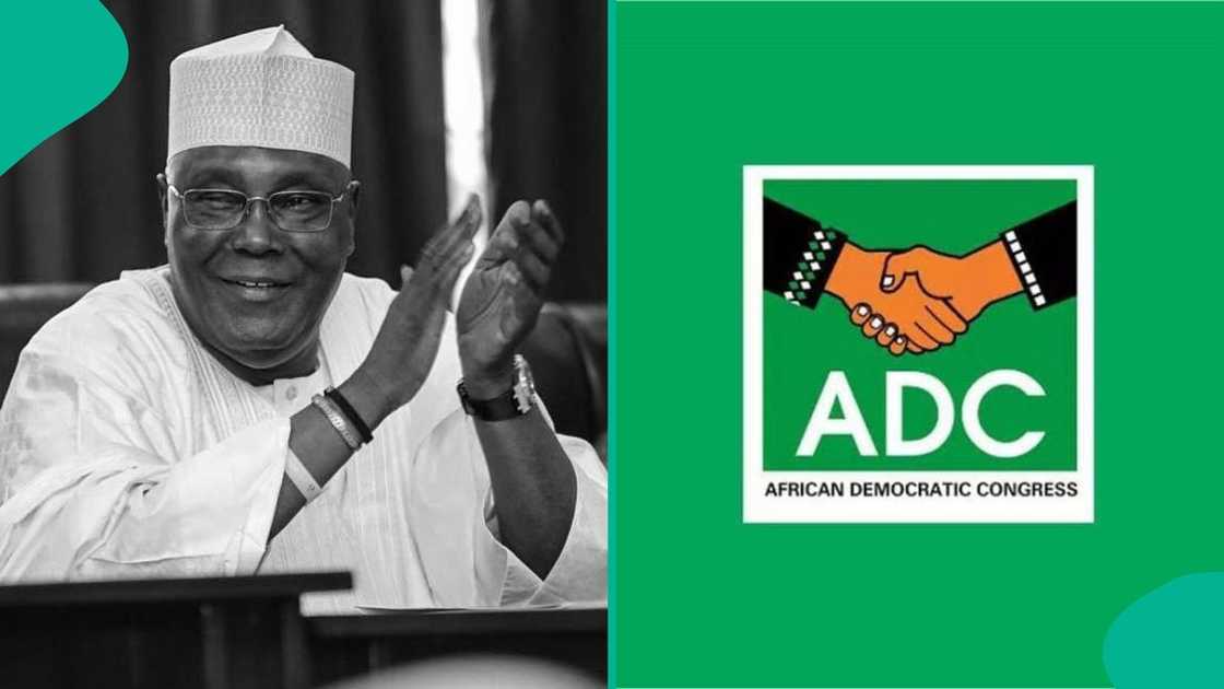Atiku Abubakar’s running mate is likely to be chosen by party organs and is expected to come from southern Nigeria.