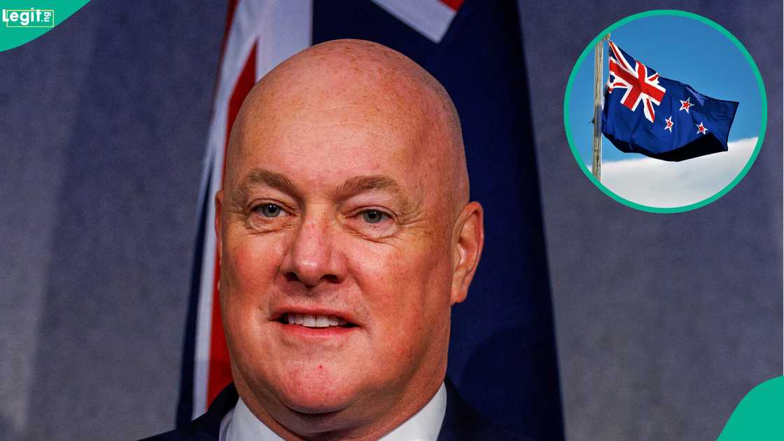 3 benefits foreigners enjoy when they get New Zealand permanent residence