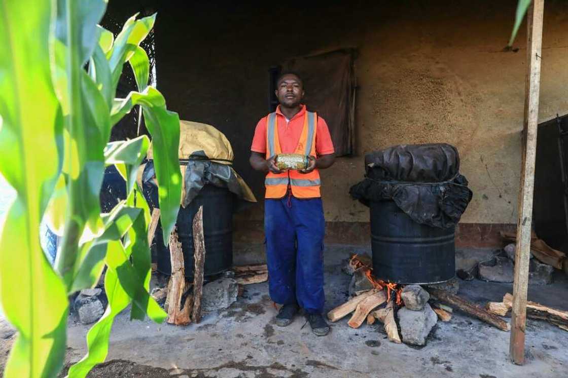 A kilo of oyster mushrooms sells in Bafoussam for 2,000 CFA francs, just over three dollars