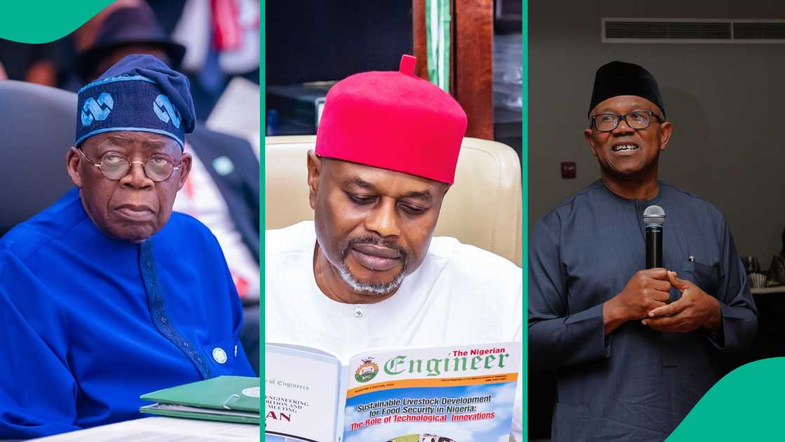 Controversy trails Uche Nnaji's academic credentials as Peter Obi wades in