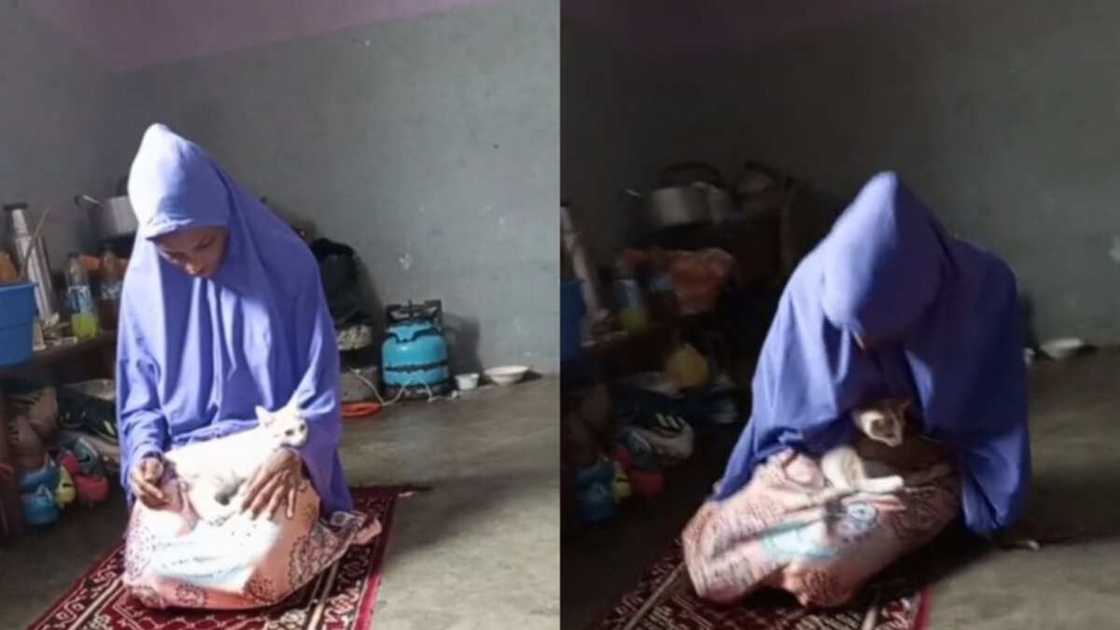 A lady with her cat. A lady with her cat.