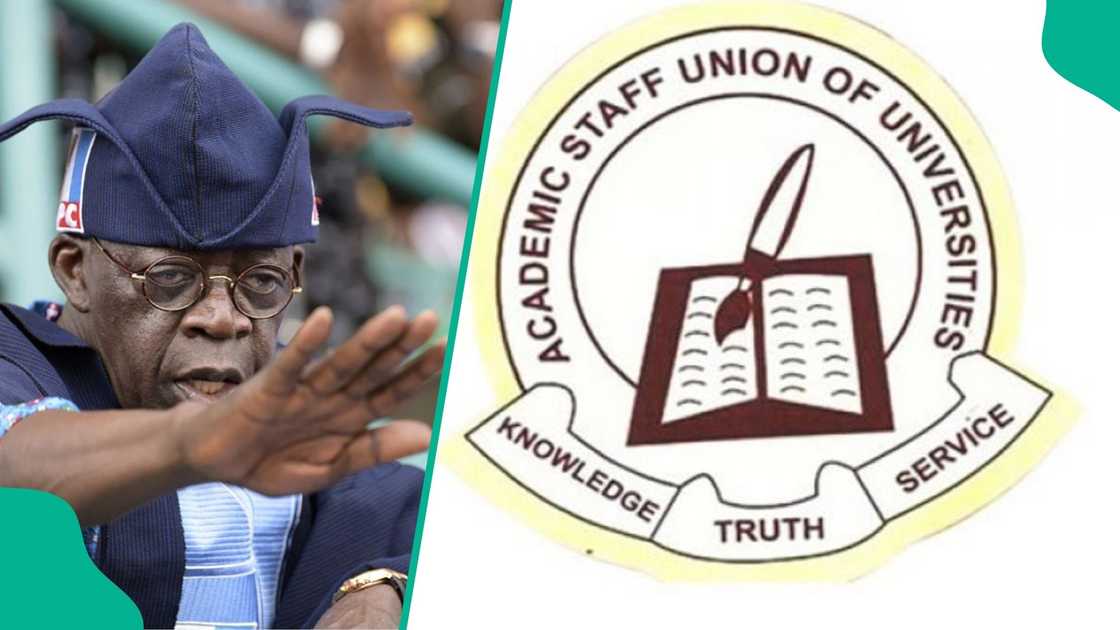 Tinubu-led government advises ASUU to shelve nationwide preparation. Tinubu-led government advises ASUU to shelve nationwide preparation.