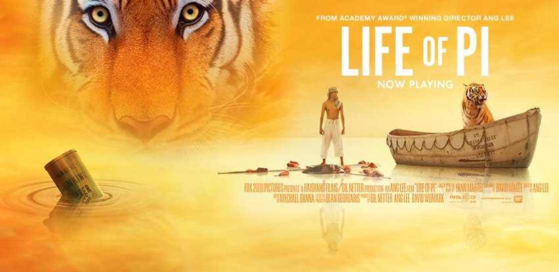 wilderness survival movie wilderness survival movie