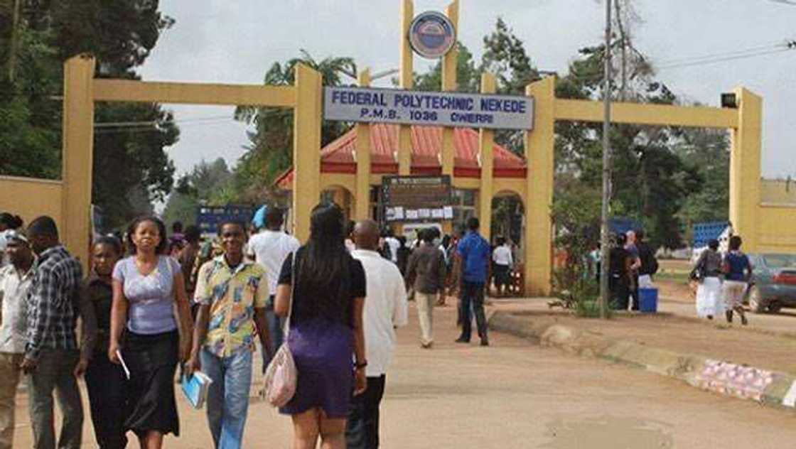 Federal Polytechnic, Nekede, Imo State Federal Polytechnic, Nekede, Imo State