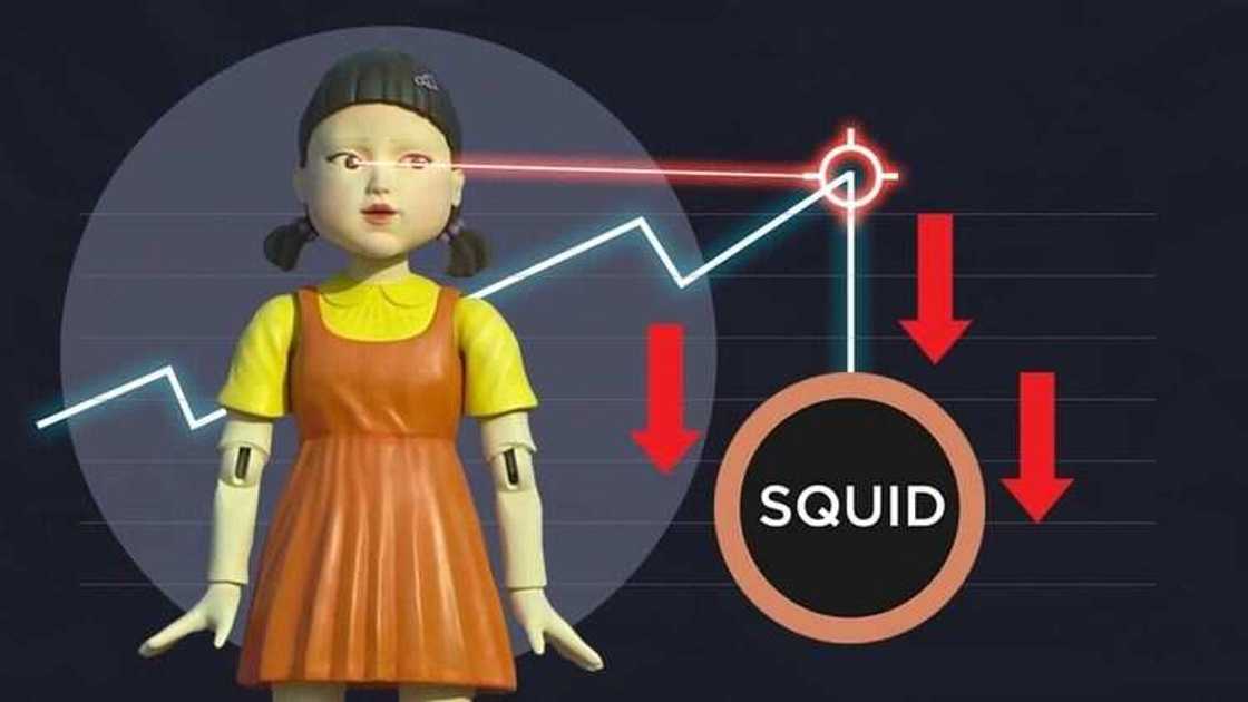 SQUID game traders SQUID game traders
