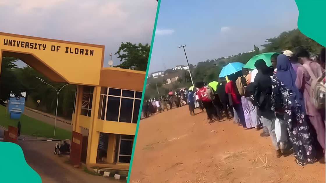 Unilorin students standing in a long shuttle queue under the hot sun on campus. Unilorin students standing in a long shuttle queue under the hot sun on campus.